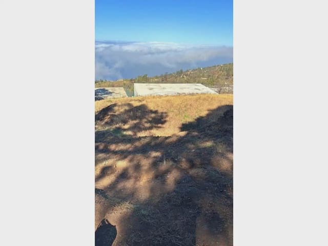 Terre non Aménagée à vendre à Tijarafe - 98 000 € (Ref: 10045329)