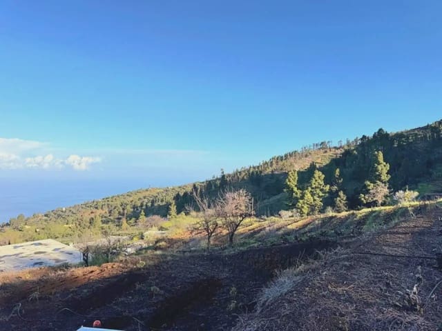 Terre non Aménagée à vendre à Tijarafe - 98 000 € (Ref: 10045329)