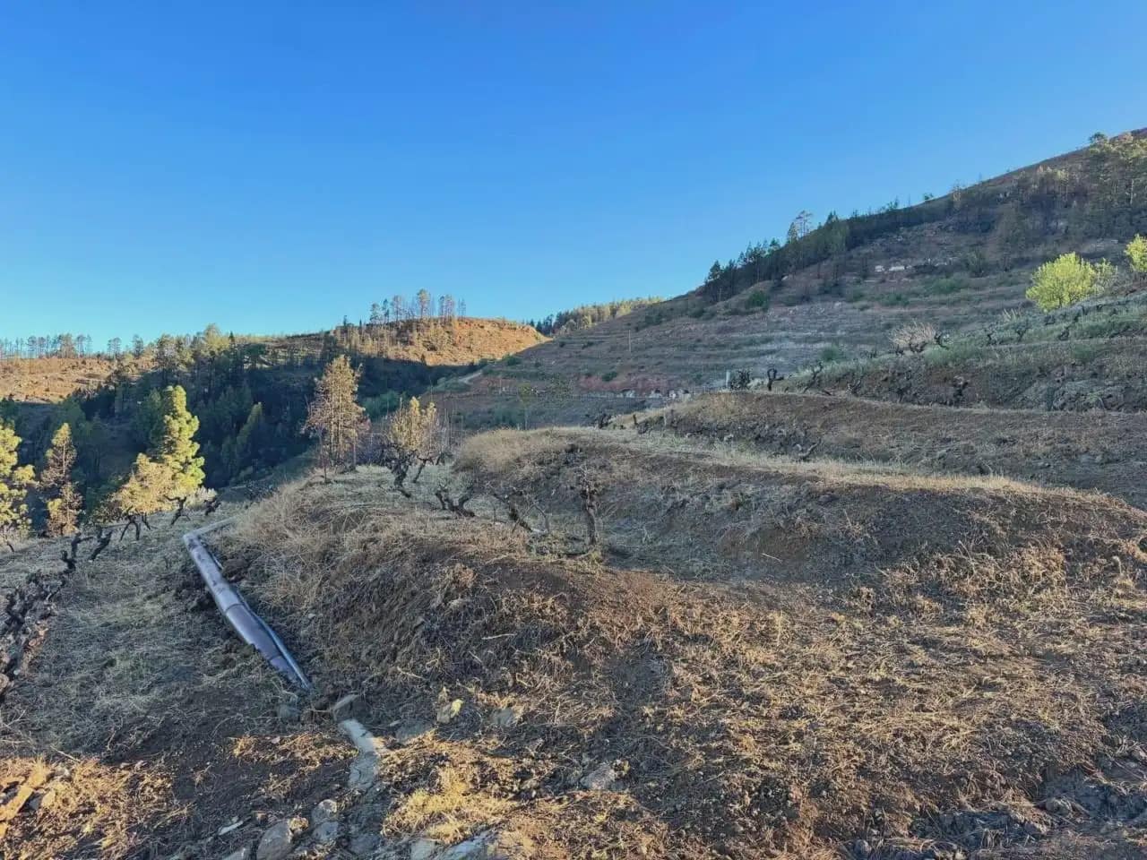 Terre non Aménagée à vendre à Tijarafe - 98 000 € (Ref: 10045329)
