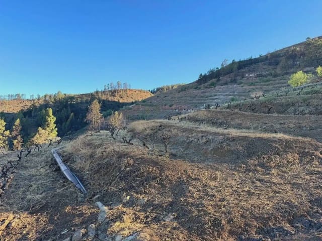 Terre non Aménagée à vendre à Tijarafe - 98 000 € (Ref: 10045329)
