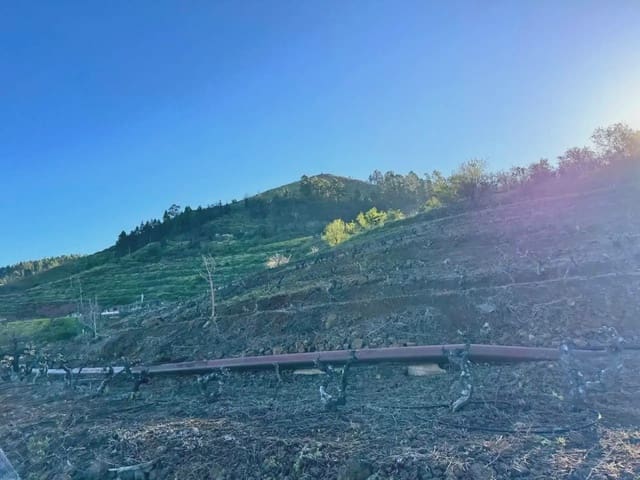 Terre non Aménagée à vendre à Tijarafe - 98 000 € (Ref: 10045329)