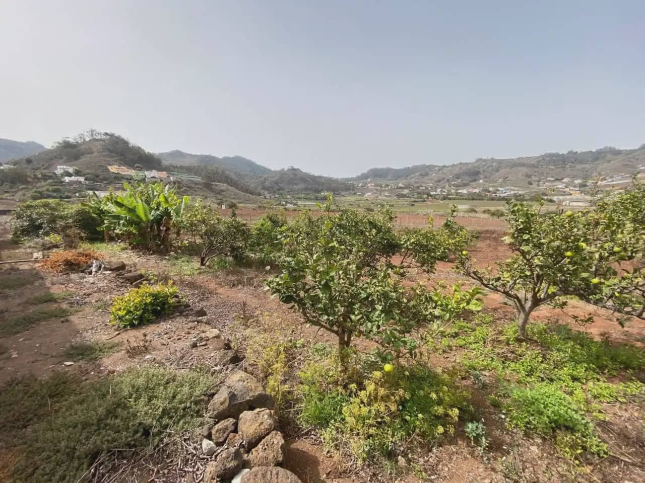 5 soverom Finca/Herregård til salgs i Tegueste - € 1 900 000 (Ref: 10045334)
