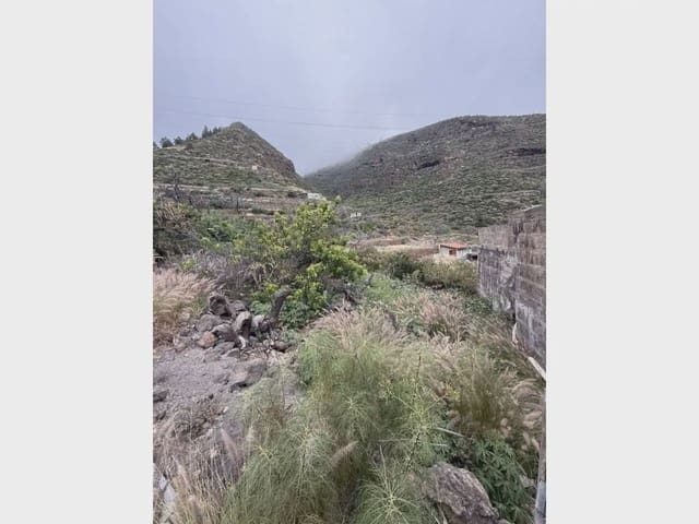 Bauplatz zu verkaufen in Candelaria - 62.000 € (Ref: 10045343)