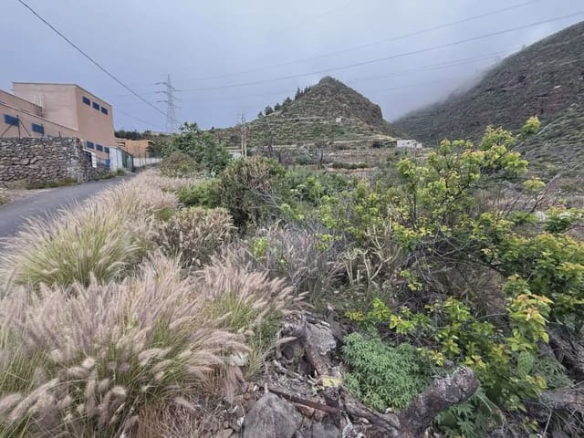 Bauplatz zu verkaufen in Candelaria - 62.000 € (Ref: 10045343)