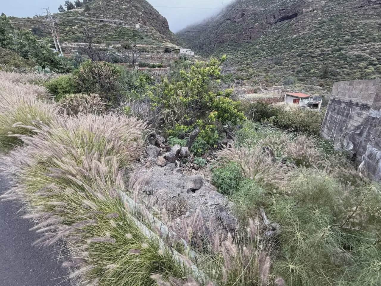 Bauplatz zu verkaufen in Candelaria - 62.000 € (Ref: 10045343)