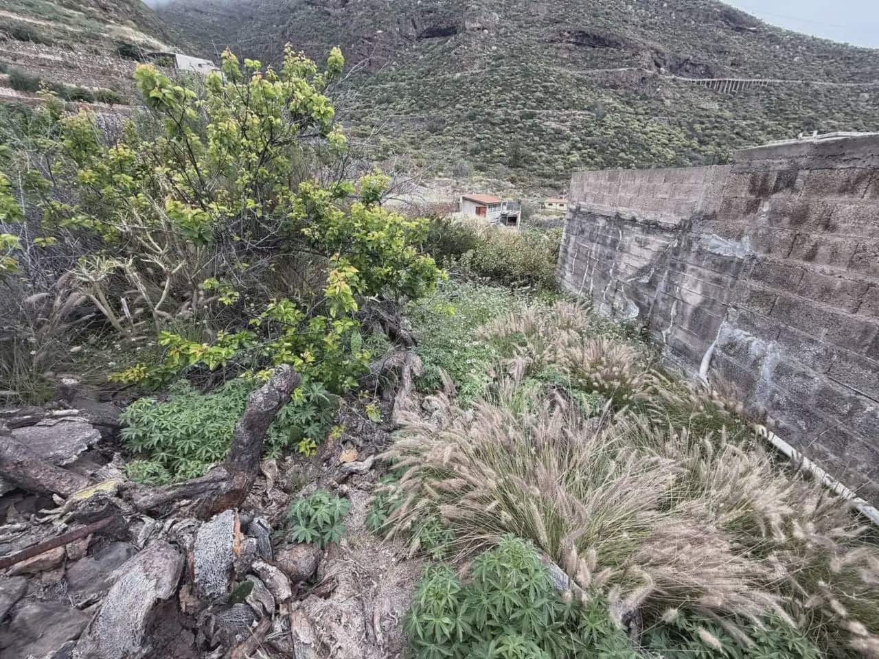 Bauplatz zu verkaufen in Candelaria - 62.000 € (Ref: 10045343)