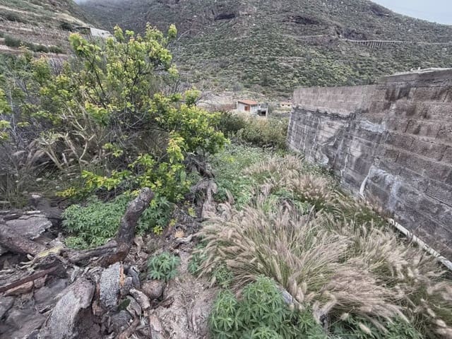 Bauplatz zu verkaufen in Candelaria - 62.000 € (Ref: 10045343)