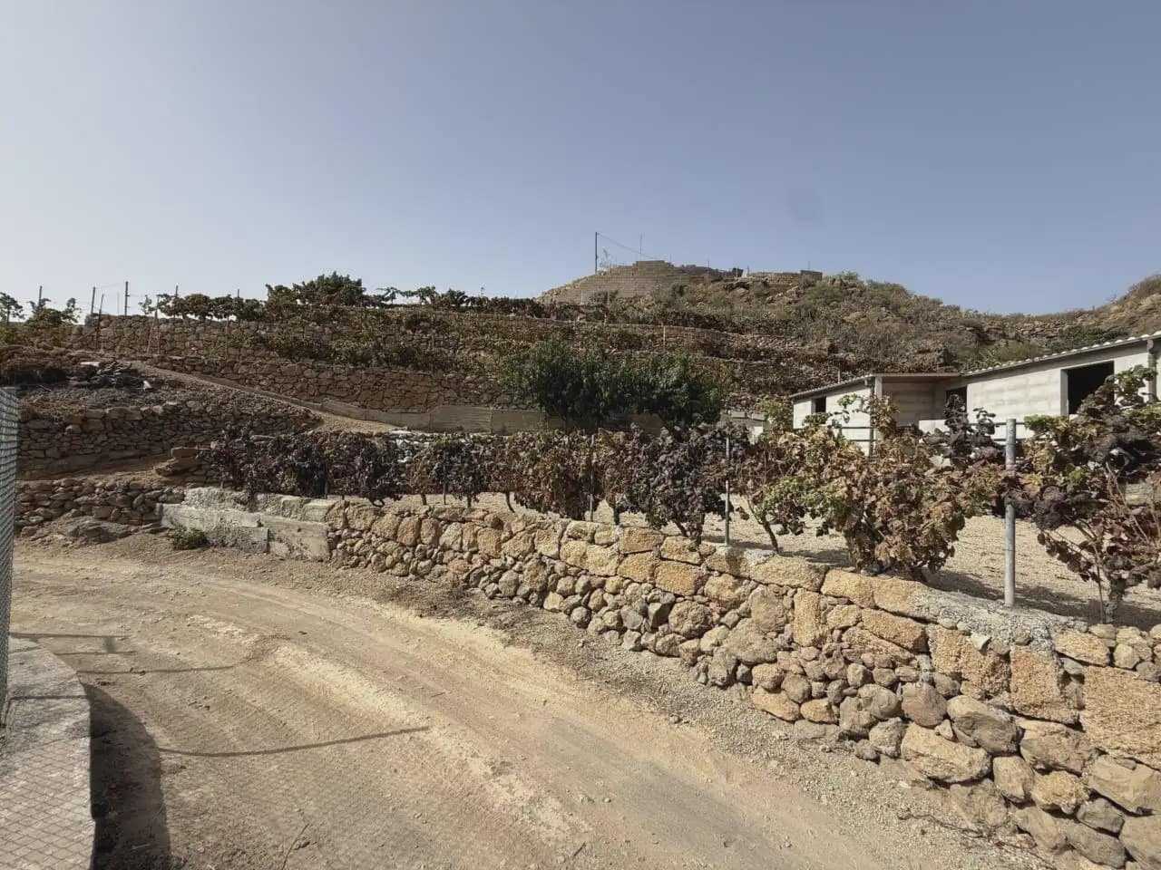 2 camera da letto Finca/Casa di Campagna in vendita in Granadilla de Abona con garage - 209.000 € (Rif: 10129088)