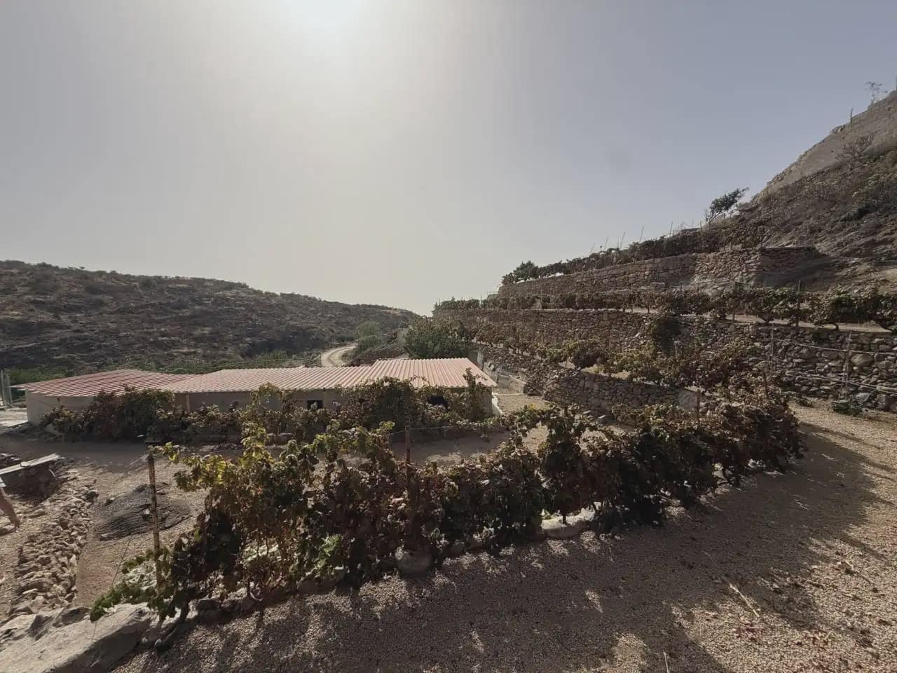 2 camera da letto Finca/Casa di Campagna in vendita in Granadilla de Abona con garage - 209.000 € (Rif: 10129088)