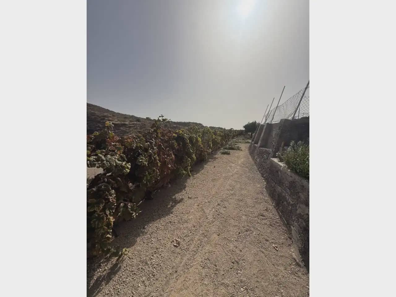 2 camera da letto Finca/Casa di Campagna in vendita in Granadilla de Abona con garage - 209.000 € (Rif: 10129088)