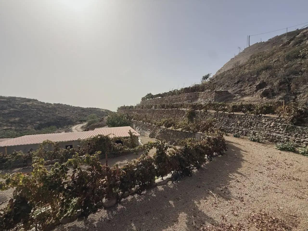 2 camera da letto Finca/Casa di Campagna in vendita in Granadilla de Abona con garage - 209.000 € (Rif: 10129088)