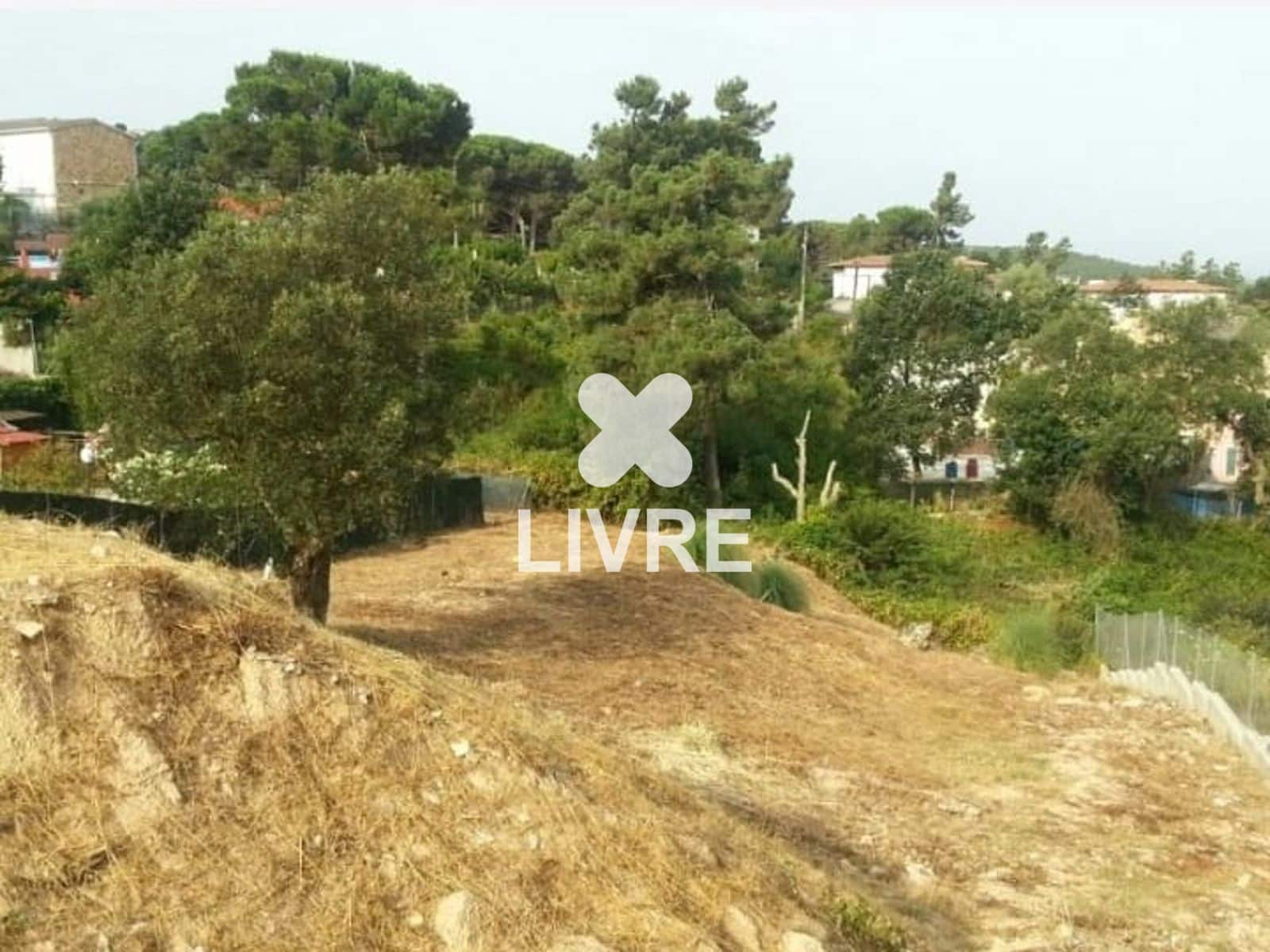 Building Plot for sale in Macanet de la Selva - € 50,000 (Ref: 10042187)
