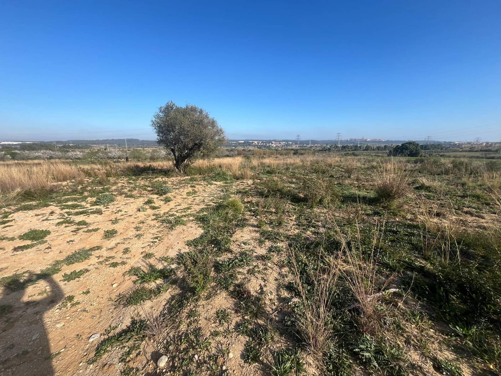 Landgrundstück zu verkaufen in Constanti - 17.000 € (Ref: 10091309)