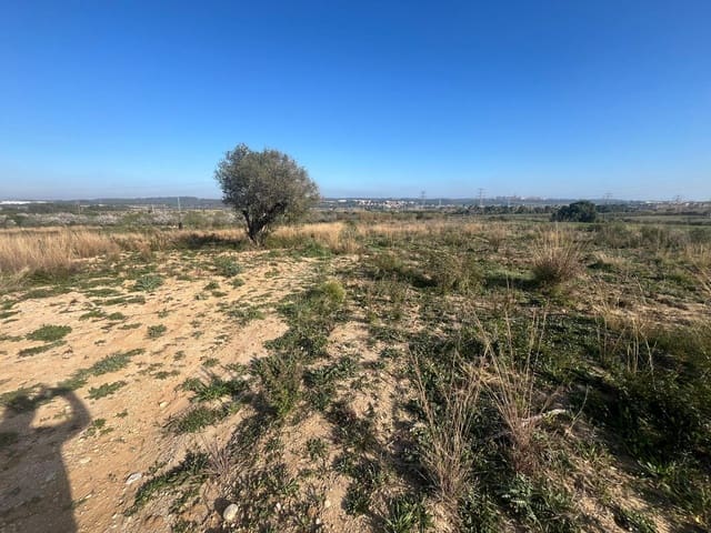 Landgrundstück zu verkaufen in Constantí - 17.000 € (Ref: 10091309)