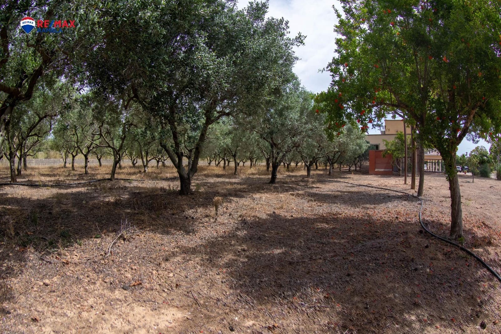5 quarto Moradia para venda em Valls com garagem - 1 100 000 € (Ref: 10091320)