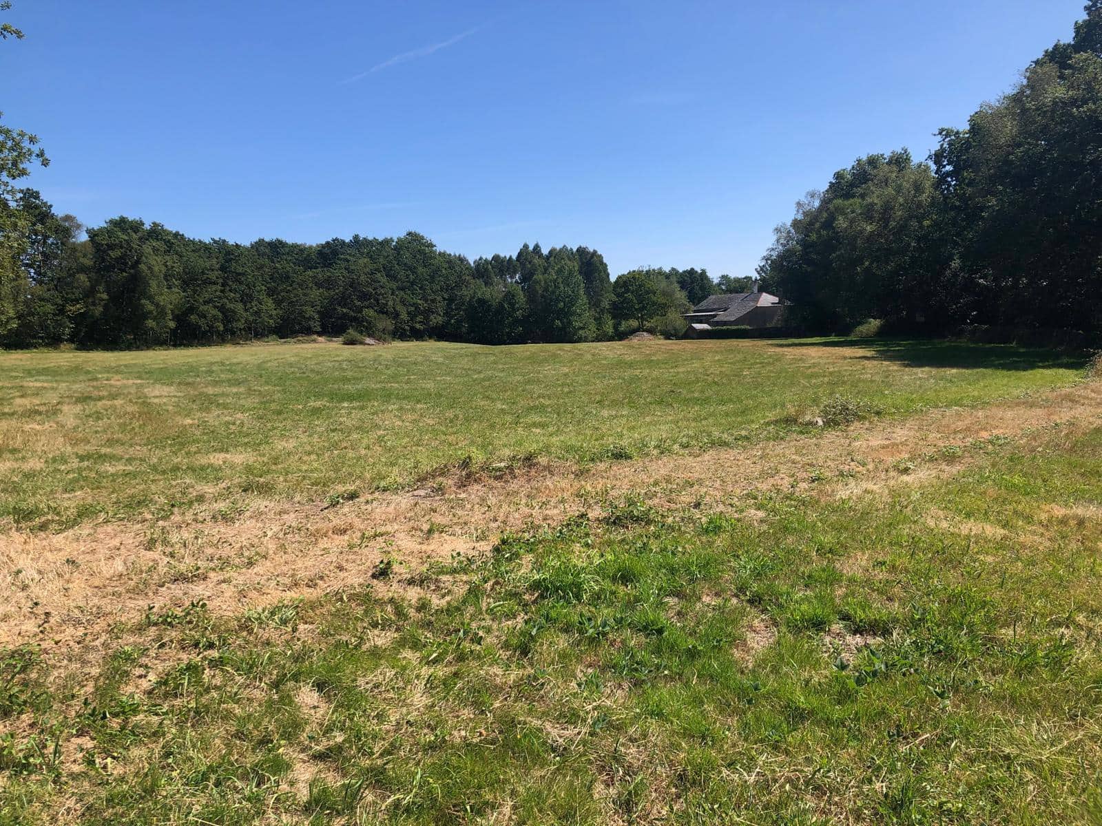 Finca/Landgut zu verkaufen in Guitiriz - 280.000 € (Ref: 10057629)