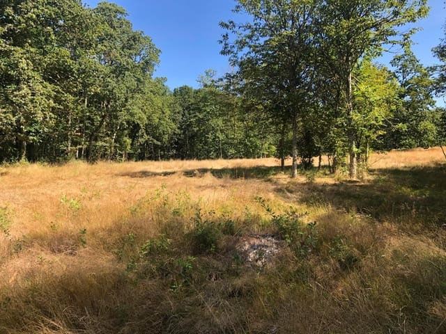 Finca/Landgut zu verkaufen in Guitiriz - 280.000 € (Ref: 10057629)