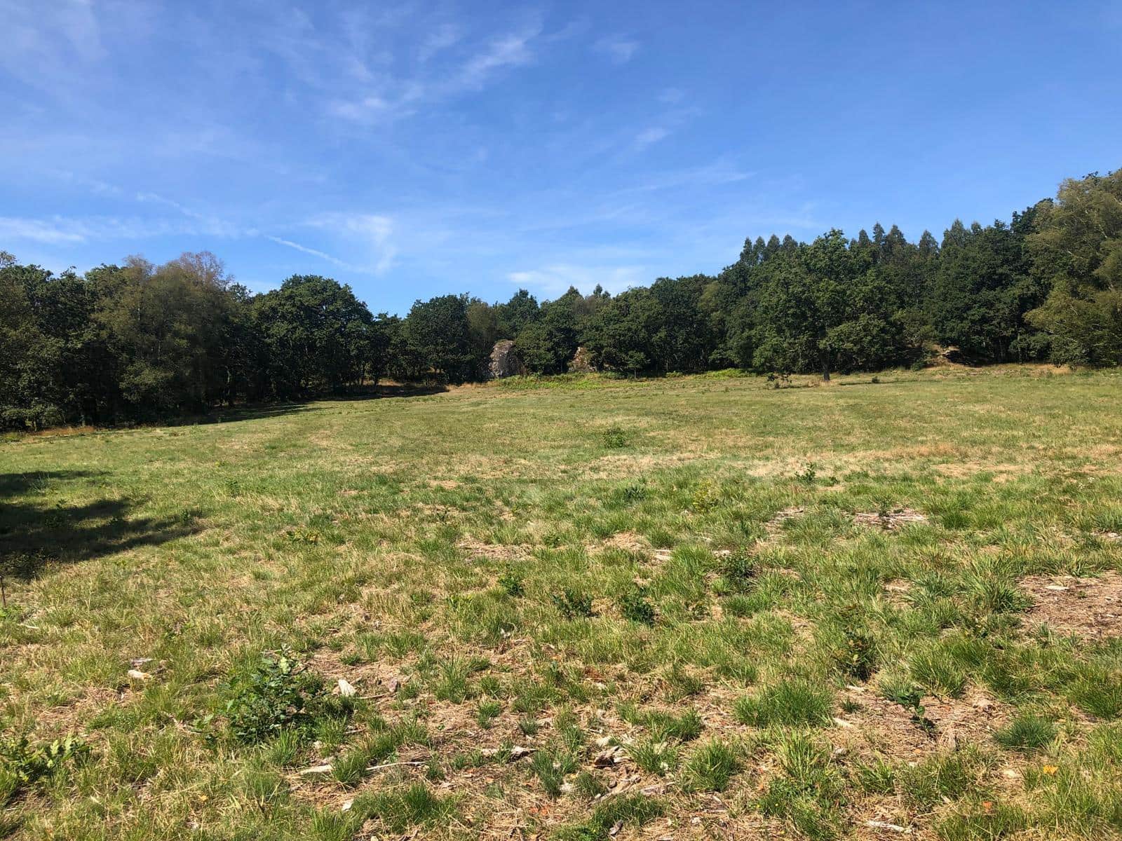 Finca/Landgut zu verkaufen in Guitiriz - 280.000 € (Ref: 10057629)