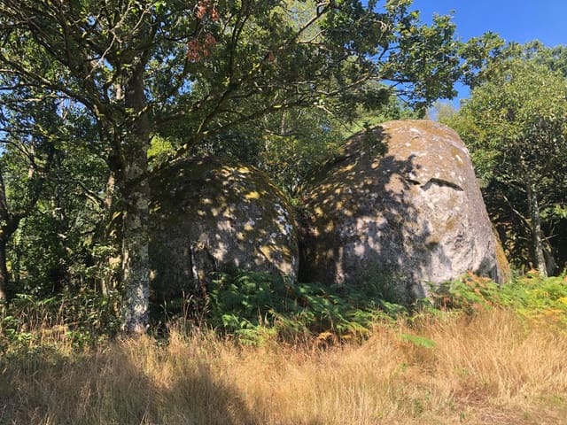 Finca/Landgut zu verkaufen in Guitiriz - 280.000 € (Ref: 10057629)