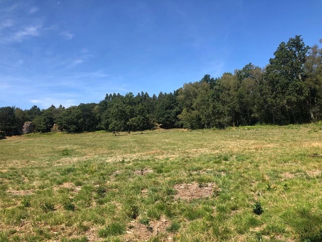 Finca/Landgut zu verkaufen in Guitiriz - 280.000 € (Ref: 10057629)