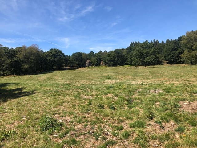 Finca/Landgut zu verkaufen in Guitiriz - 280.000 € (Ref: 10057629)