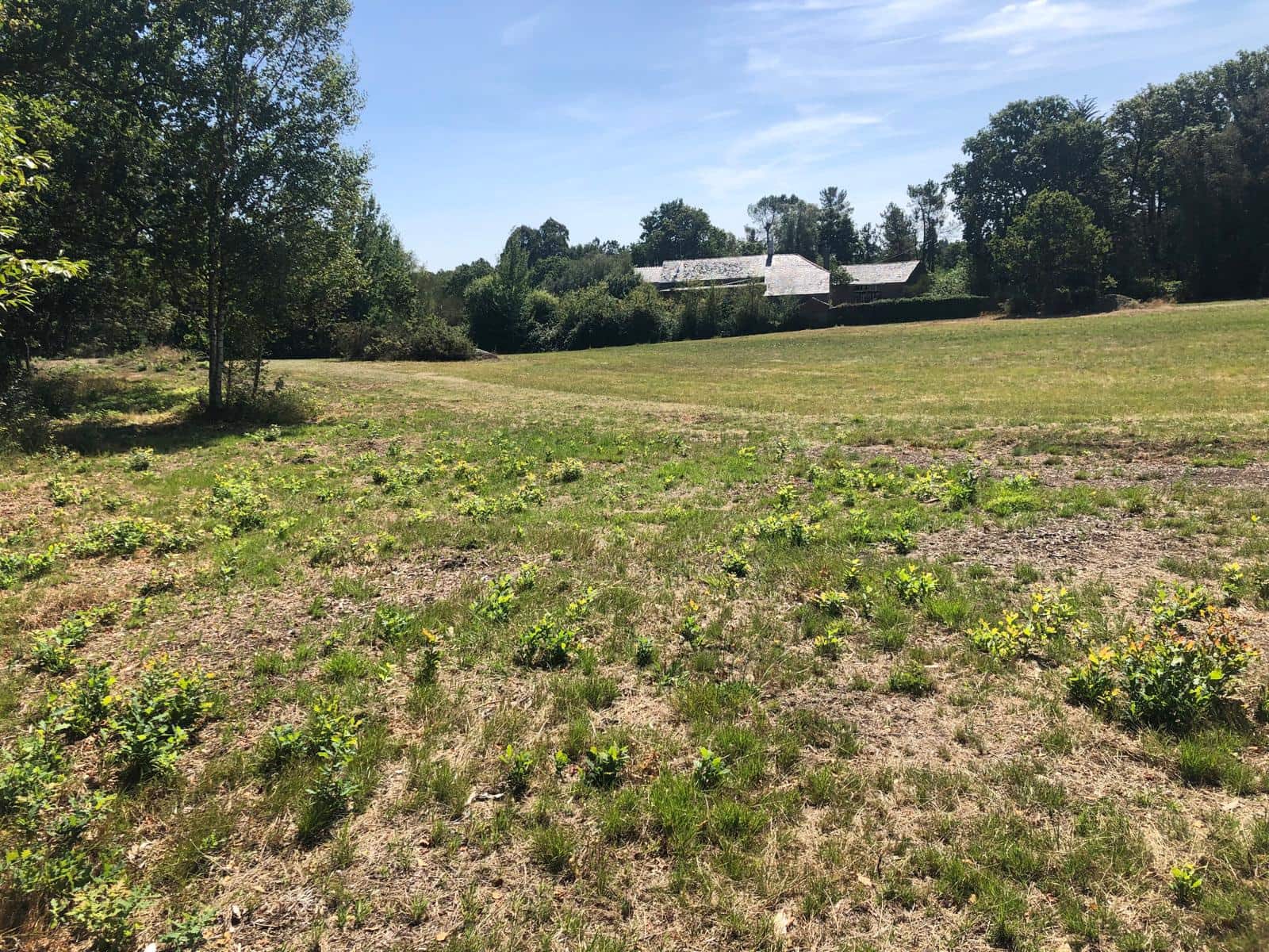Finca/Landgut zu verkaufen in Guitiriz - 280.000 € (Ref: 10057629)