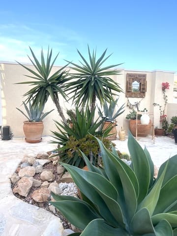 3 slaapkamer Halfvrijstaande villa te koop in La Marina, Elche / Elx met zwembad - € 259.000 (Ref: 10048034)