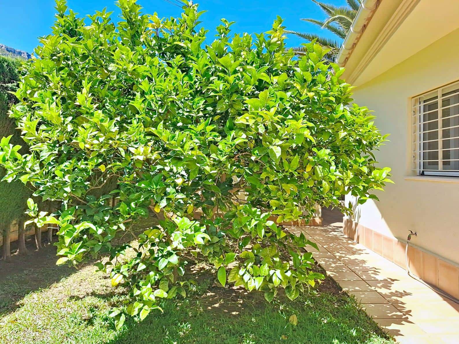 3 sypialnia Willa na sprzedaż w Denia z basenem garażem - 790 000 € (Ref: 10048147)