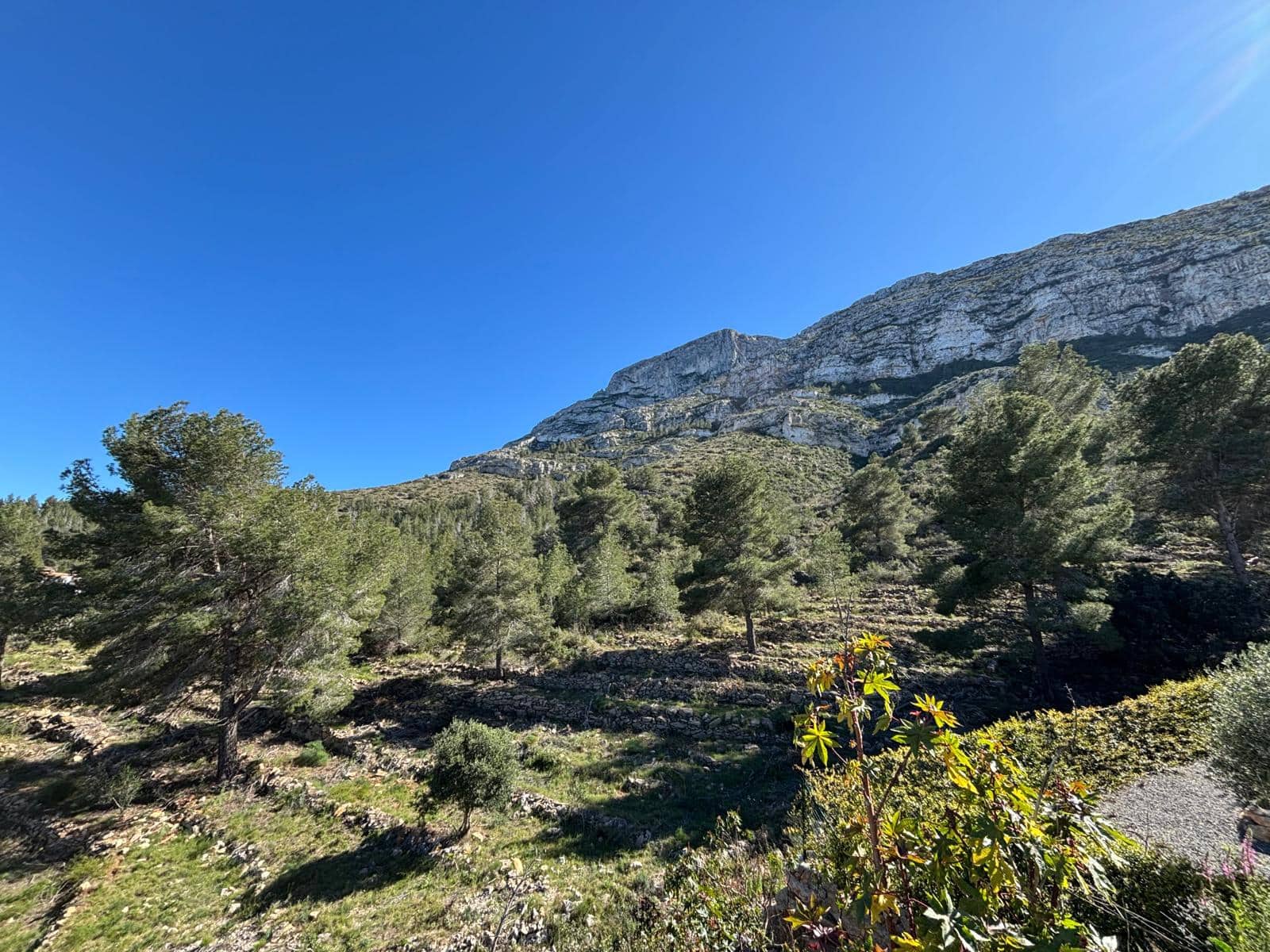Building Plot for sale in Denia - € 455,000 (Ref: 10048162)