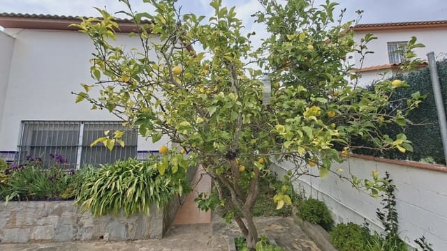 Chalet de 5 habitaciones en Sant Pere de Ribes en venta con piscina garaje - 475.000 € (Ref: 10081525)