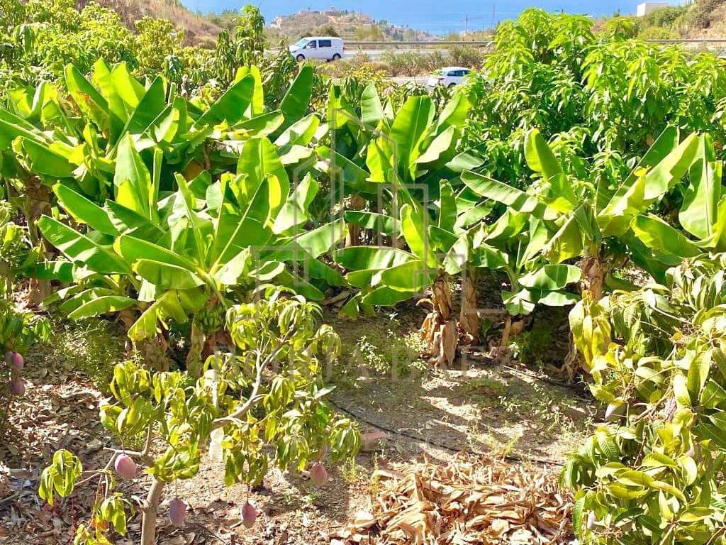 4 quarto Moradia para venda em Benajarafe - 375 000 € (Ref: 10076750)