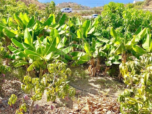 4 quarto Moradia para venda em Benajarafe, Vélez-Málaga - 375 000 € (Ref: 10076750)