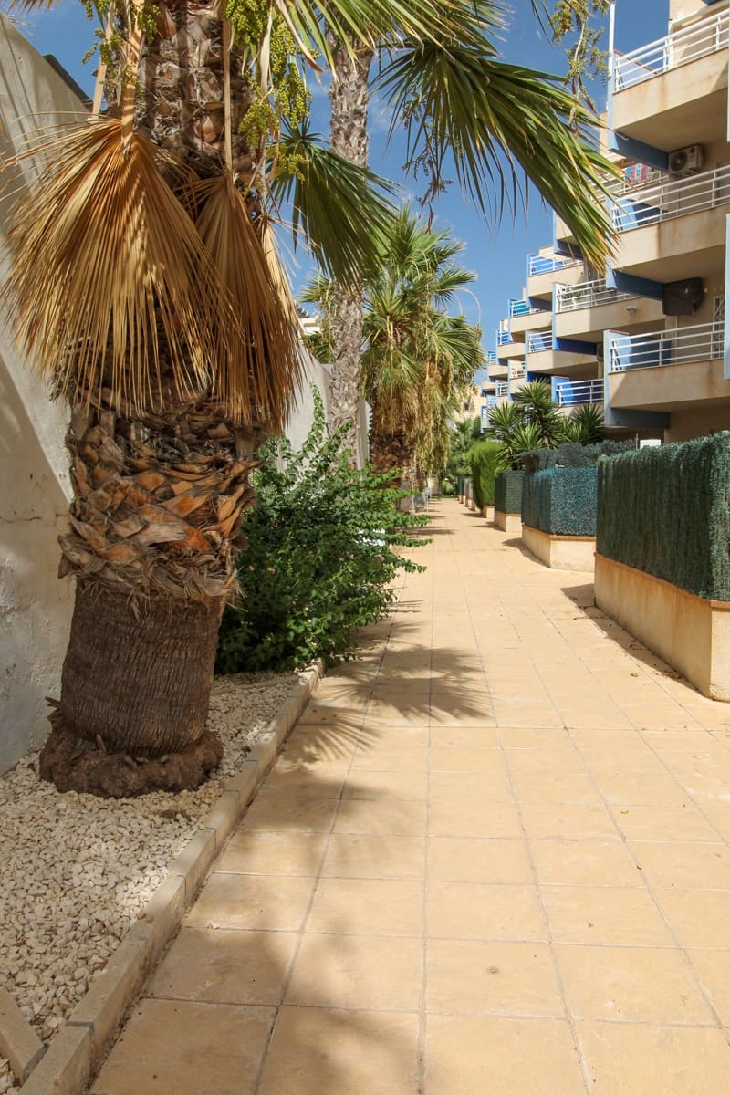 2 soveværelse Lejlighed til salg i Cabo Roig med swimmingpool garage - € 230.000 (Ref: 10086952)