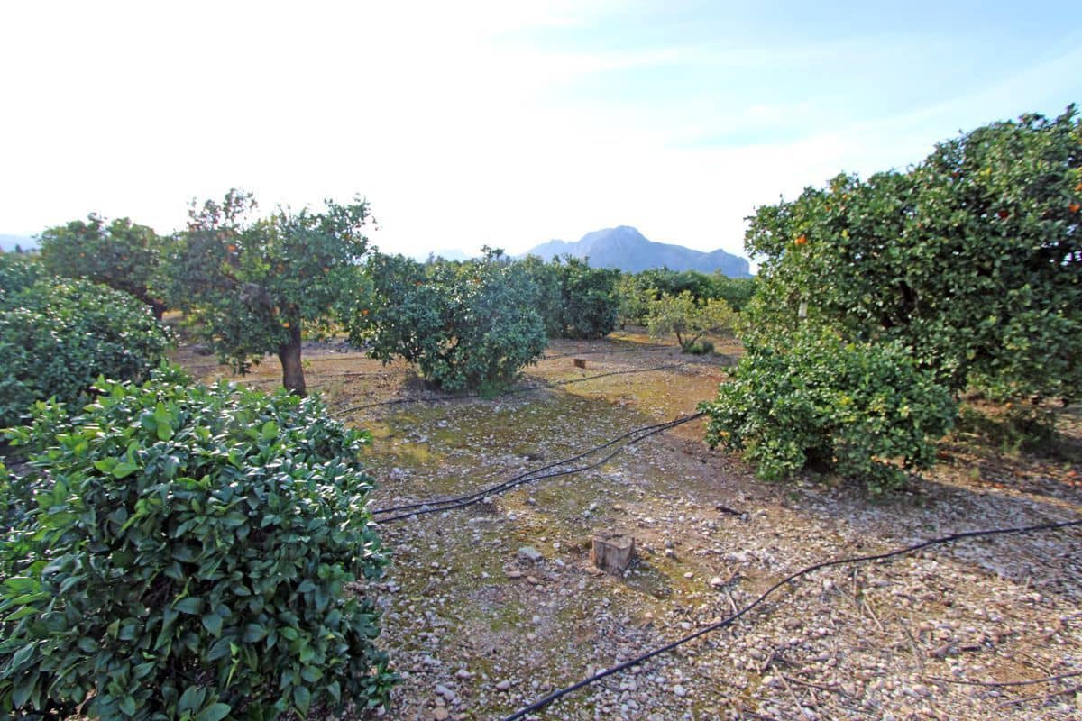 4 bedroom Villa for sale in Ondara with garage - € 525,000 (Ref: 10067014)