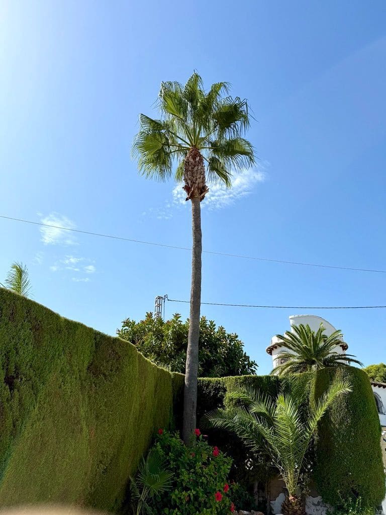 3 chambre Villa/Maison à vendre à Javea / Xabia avec piscine garage - 850 000 € (Ref: 10080368)