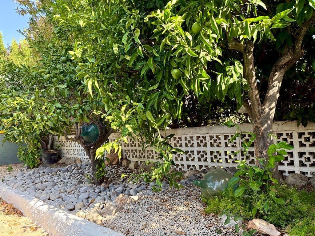 3 chambre Villa/Maison à vendre à Javea / Xabia avec piscine garage - 850 000 € (Ref: 10080368)