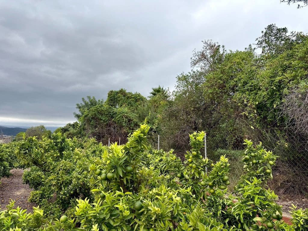 4 quarto Quinta/Casa Rural para venda em Beniarbeig com garagem - 200 000 € (Ref: 10085459)