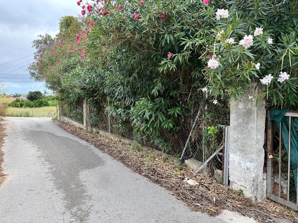 4 quarto Quinta/Casa Rural para venda em Beniarbeig com garagem - 200 000 € (Ref: 10085459)