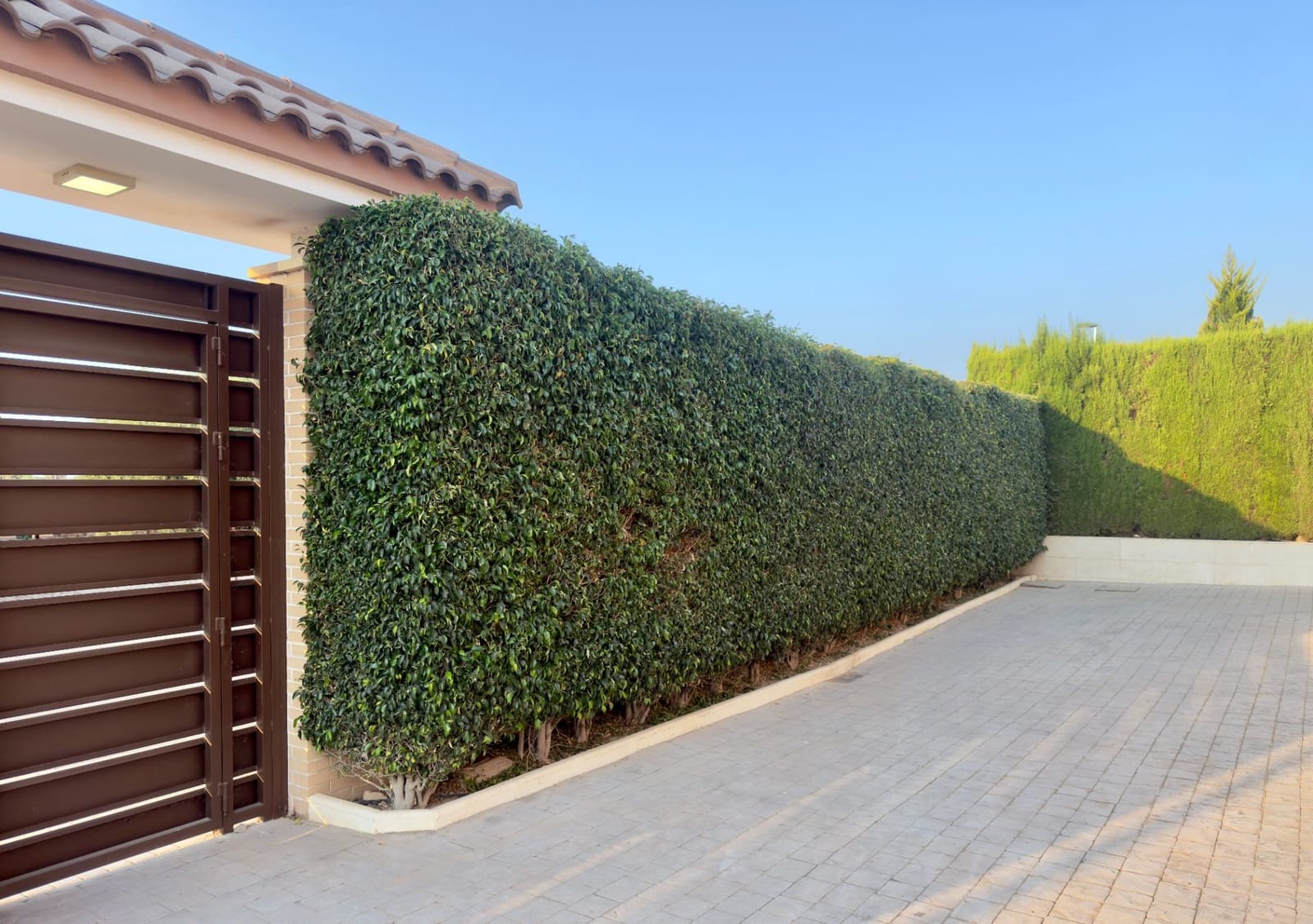6 quarto Moradia para venda em Valverde com piscina garagem - 828 000 € (Ref: 10082158)