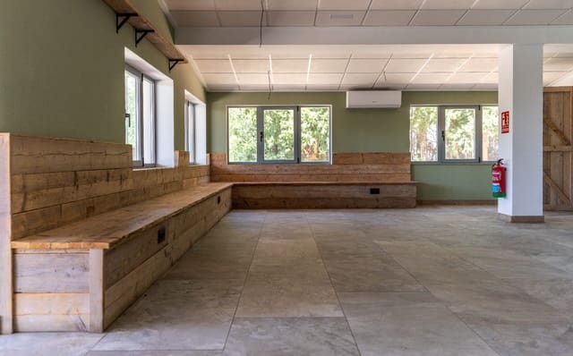 Kommersiell till salu i Alcalalí / Alcanalí med pool - 860 000 € (Ref: 10082160)
