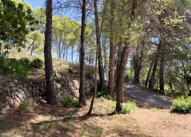 Byggegrund til salg i Alcalalí / Alcanalí - € 300.000 (Ref: 10082164)