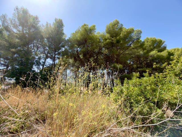 Byggegrund til salg i Alcalalí / Alcanalí - € 300.000 (Ref: 10082164)