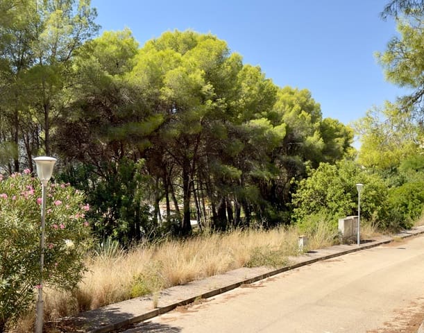 Byggegrund til salg i Alcalalí / Alcanalí - € 300.000 (Ref: 10082164)