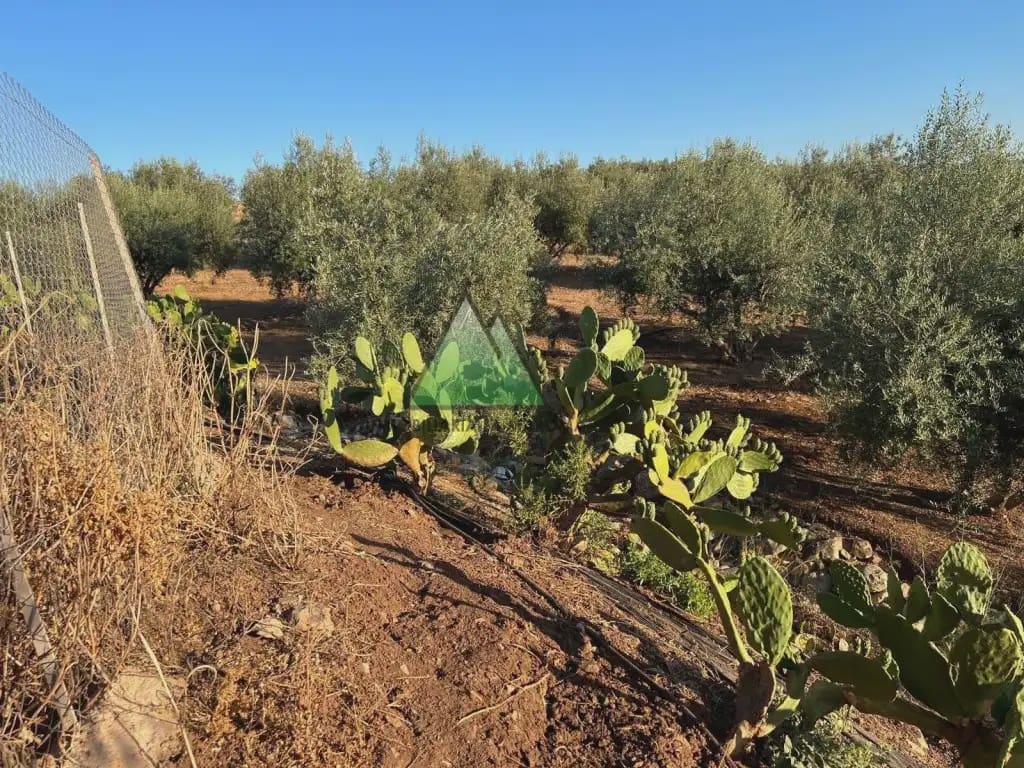 Grunde uden byggetilladelser til salg i Periana - € 125.000 (Ref: 10078830)