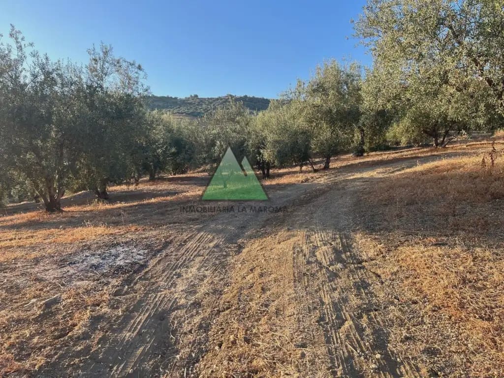 Grunde uden byggetilladelser til salg i Periana - € 125.000 (Ref: 10078830)