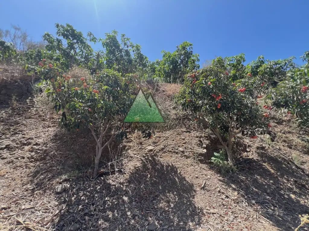 3 makuuhuone Maalaistalo myytävänä paikassa Velez-Malaga mukana uima-altaan - 1 580 000 € (Ref: 10078835)