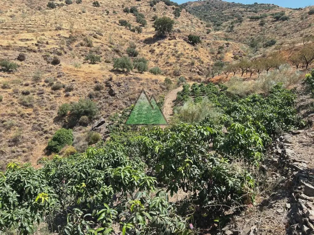 3 makuuhuone Maalaistalo myytävänä paikassa Velez-Malaga mukana uima-altaan - 1 580 000 € (Ref: 10078835)