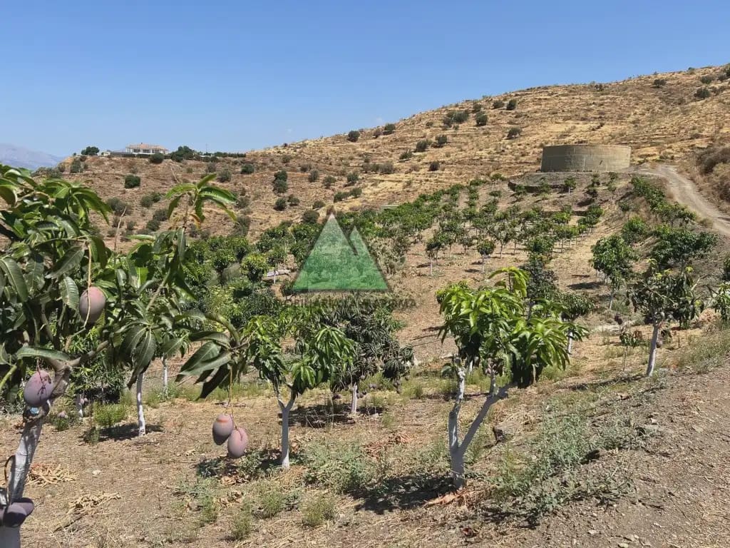 3 makuuhuone Maalaistalo myytävänä paikassa Velez-Malaga mukana uima-altaan - 1 580 000 € (Ref: 10078835)
