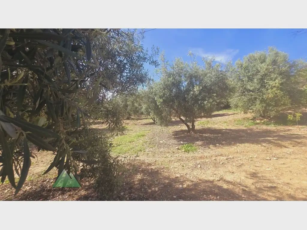 4 chambre Finca/Maison de Campagne à vendre à Alcaucin avec garage - 365 000 € (Ref: 10078839)
