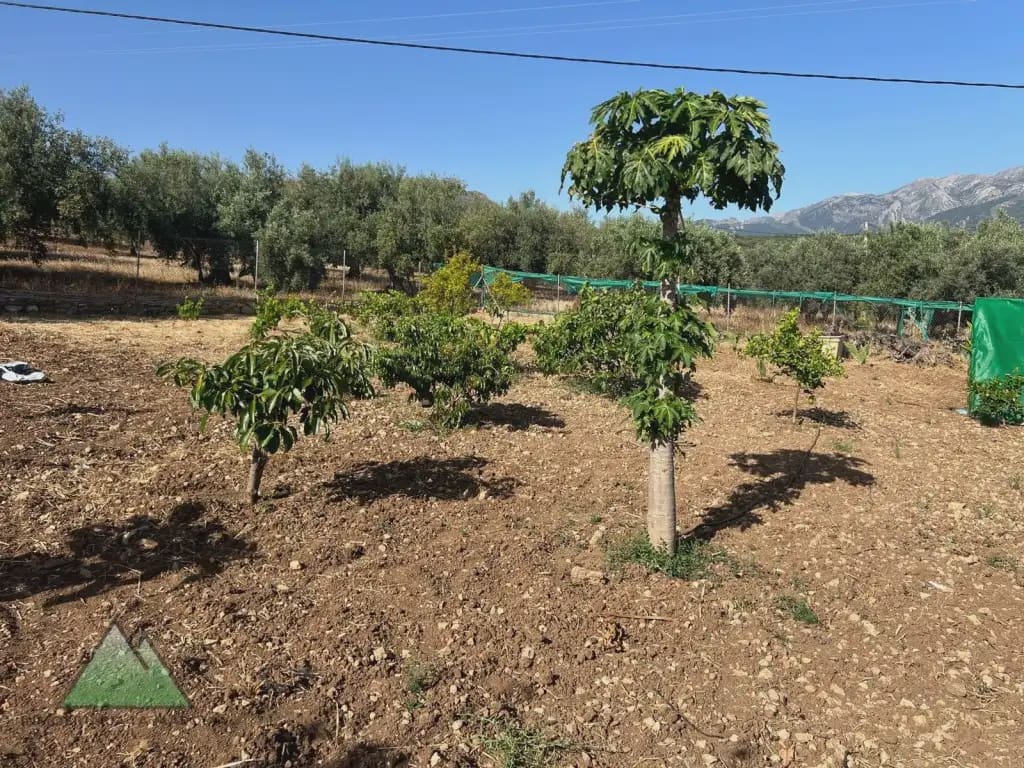 Casa in vendita in Periana con garage - 209.000 € (Rif: 10078854)